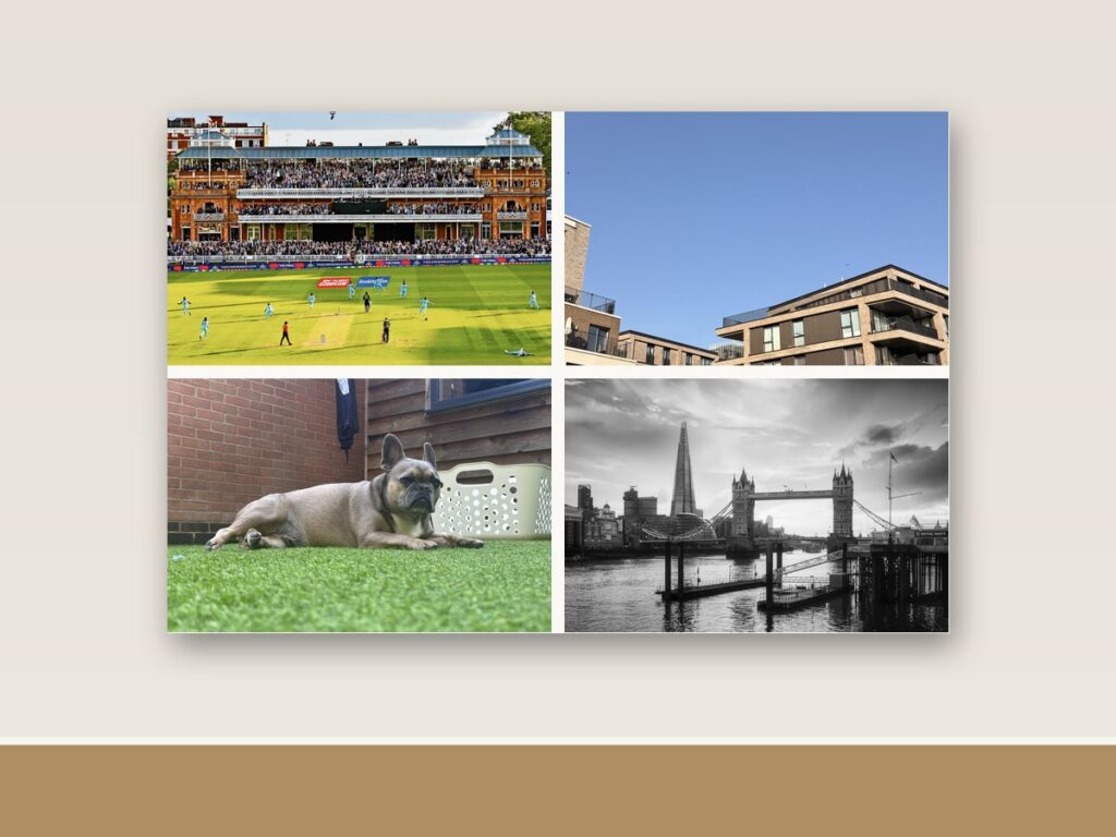 Four example photos arranged as a collage on one canvas, hanging on a wall
