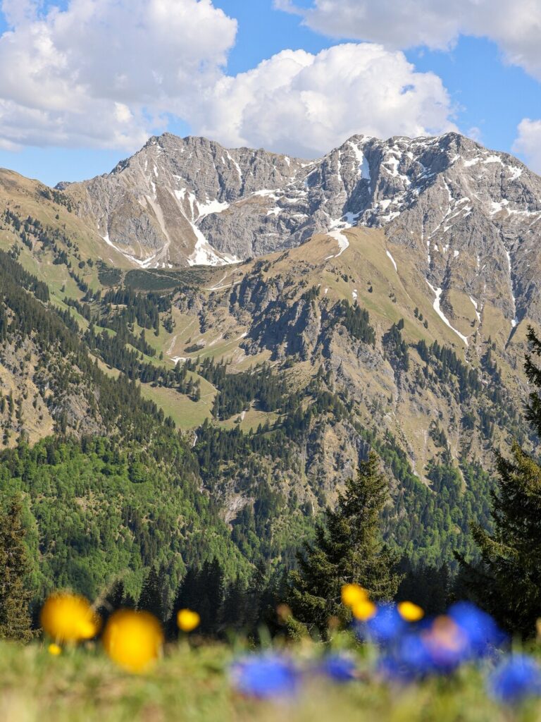 An upright mountain photo with flowers in the foreground