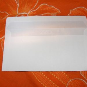 #10 Window Envelopes
